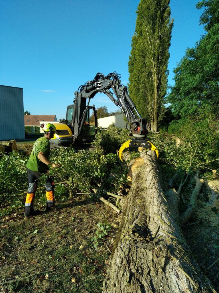 Abattage peuplier Italie - caserne pompier Tergnier