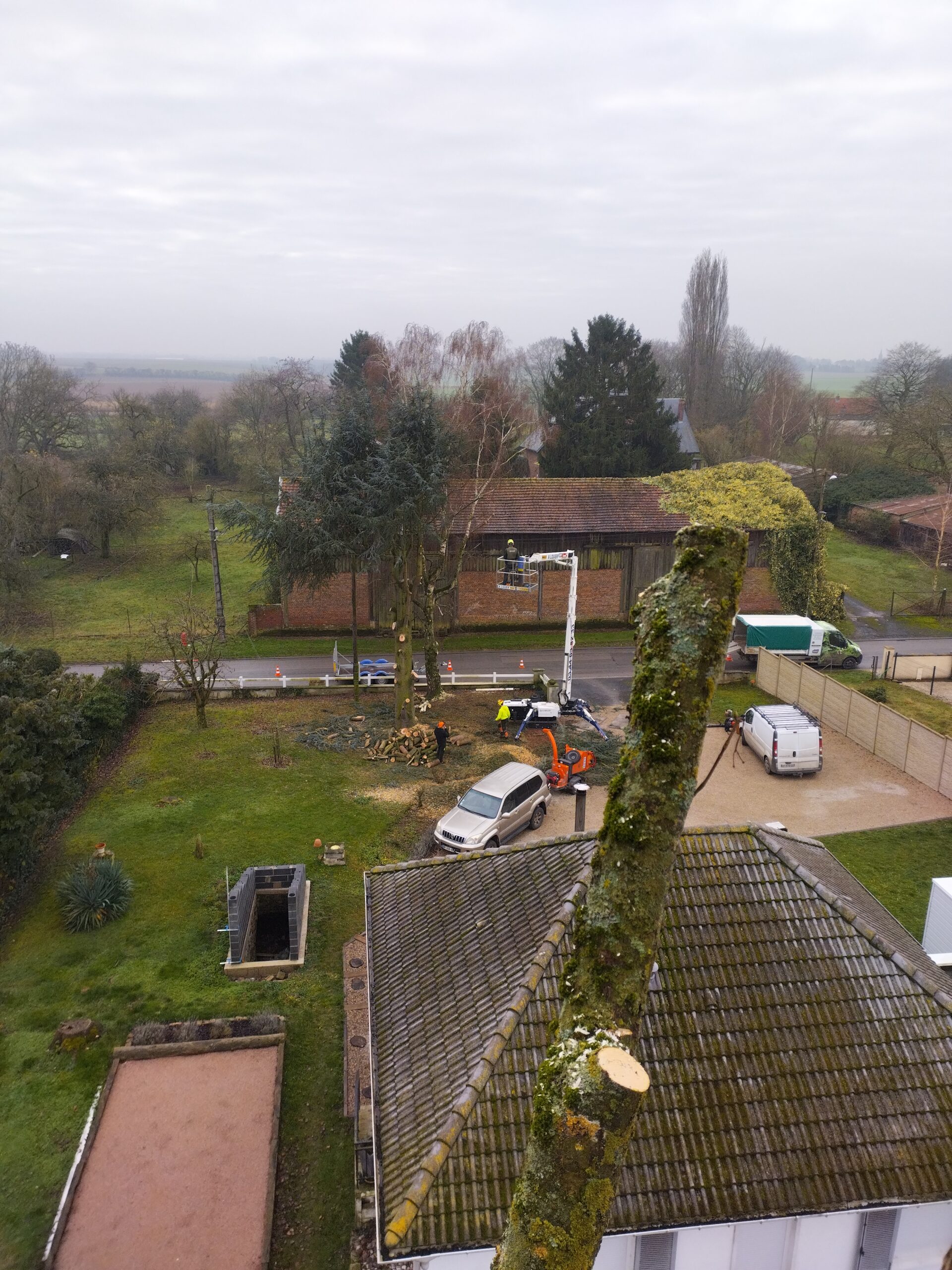 Démontage de cèdres et de bouleaux à Saint Quentin